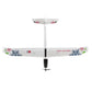 WLtoys XK A800 5CH RC Airplane